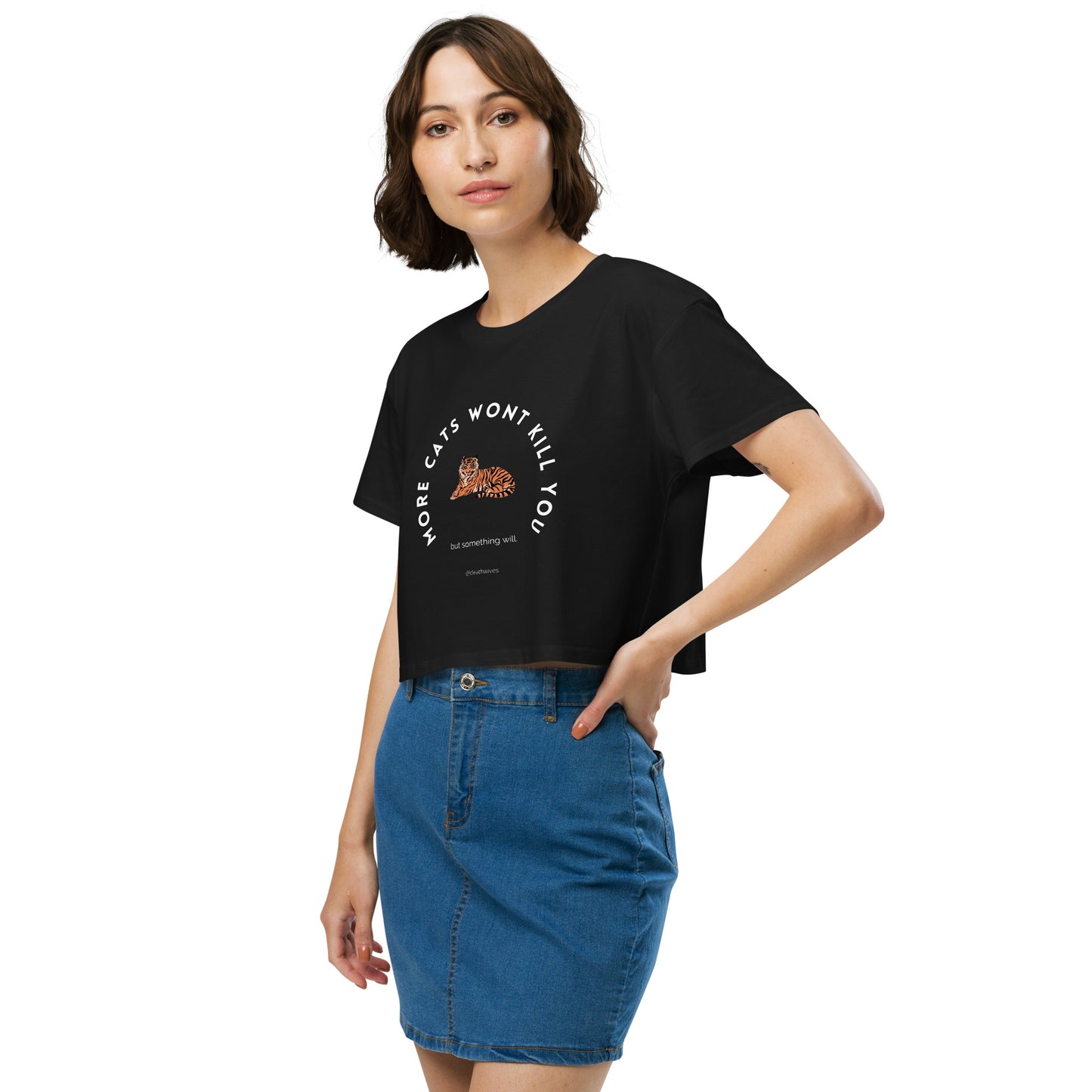 More Cats Won't Kill You π Vintage Crop Top